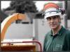 The Tree Surgeon, Petworth