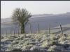 Cold and frosty dawn