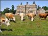 Felbrigg Hall, Norfolk