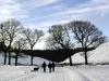 Walking in a winter wonderland