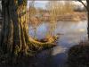 Flooded Footpath