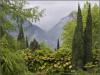Lake Garda: Reflections I