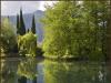 Reflections IV