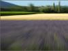 Colours of Provence